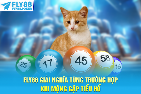 Nằm Mơ Thấy Mèo - Luận Giải Điềm Báo & Con Số Tài Lộc 2025 6 FLY88 giải nghĩa từng trường hợp khi mộng gặp tiểu hổ